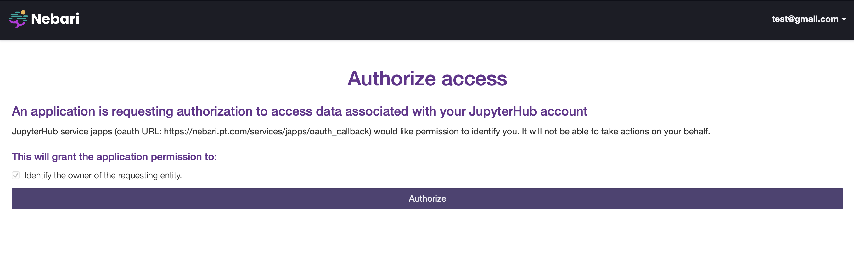 Authorize access page with an 'Authorize' button requesting access for JHub Apps, which is a Jupyter Service, to identify the user.